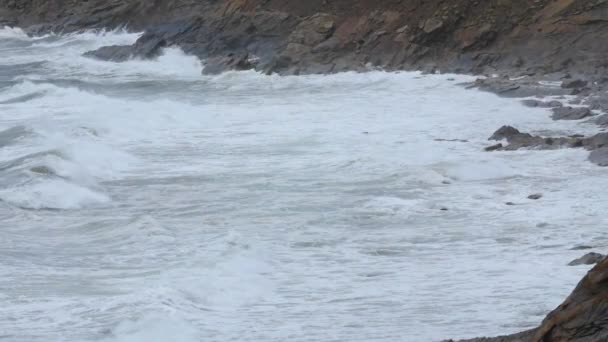 Olas agitadas del océano cayendo en la orilla — Vídeos de Stock