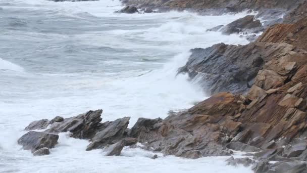 Fırtınada bir sahil şeridi üzerinde büyük dalgalar — Stok video