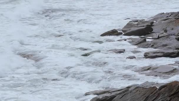 Grov havsvågor faller på stranden — Stockvideo