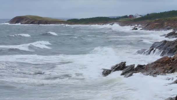 Vågor som landar på stenar i Cape Breton — Stockvideo