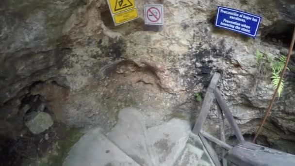 Escaliers menant au cénote souterrain — Video