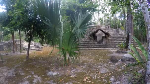 Pirámides de piedra en la ruina maya — Vídeos de Stock