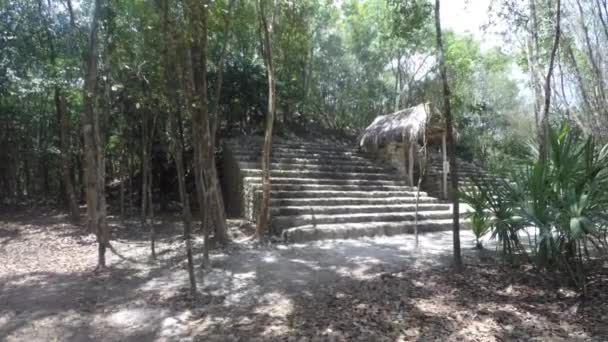 Escaleras de piedra en la ruina maya en la selva — Vídeos de Stock