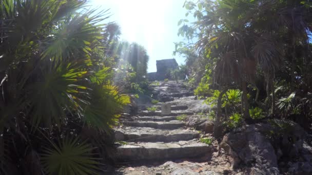 Estructura de piedra en la ruina Maya — Vídeos de Stock