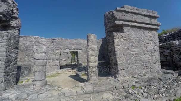 Steinbauten an Maya-Ruine — Stockvideo