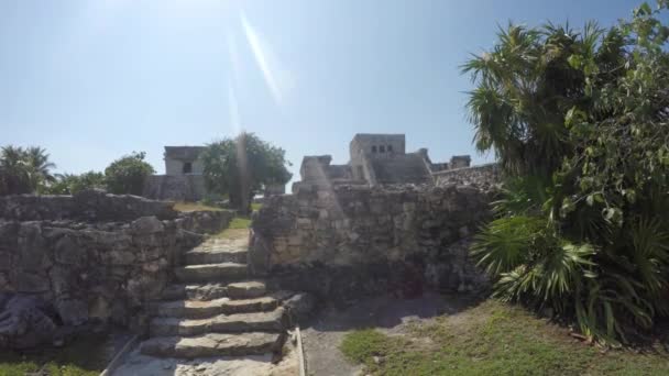 The Beautiful Beach Side Mayan Ruins — Stock Video