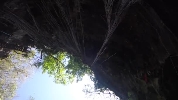 The beautiful cenote at Ek Balaam — Stock Video