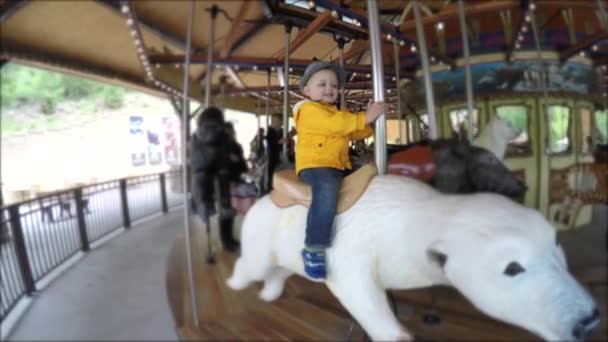 Carrousel pour tout-petit au zoo — Video