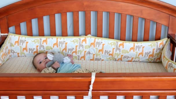 A newborn baby lying in a crib — Stock Video