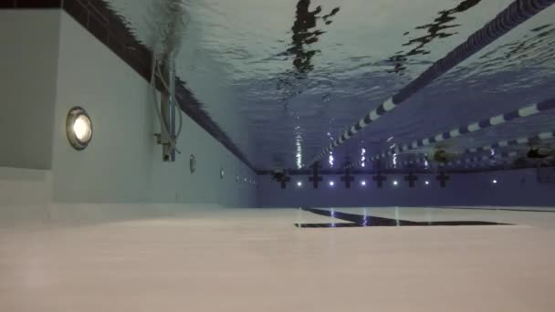 Insanlar temiz yüzme havuzunda Yüzme — Stok video