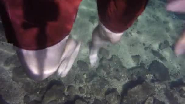 Muž plavání v mexické Cenote — Stock video