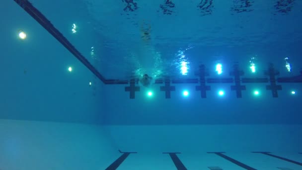 Plongeon sportif et baignade en piscine — Video