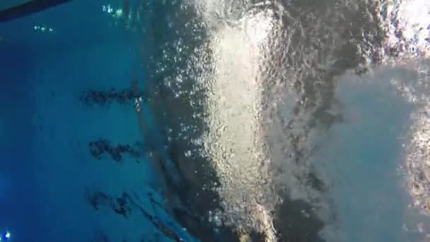 Atleta buceando en la piscina — Vídeo de stock