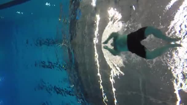 Мужчина плавает брассом в бассейне — стоковое видео