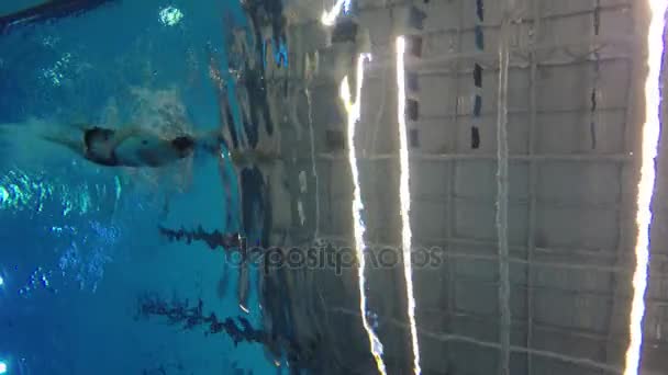 Hombre natación estilo libre en la piscina — Vídeos de Stock