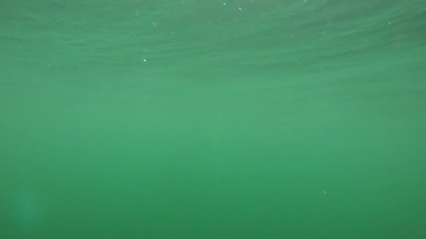 Підводний знімок відбиття поверхні в океані — стокове відео