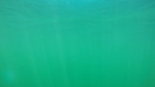 Podvodní záběr z povrchu oceánu — Stock video