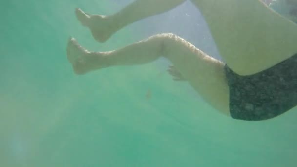 Woman swimming in tropical ocean — Stock Video