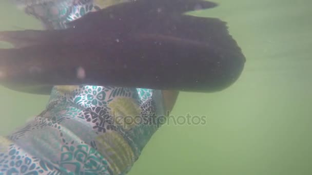 Frau schwimmt in einer Röhre in Cenote — Stockvideo