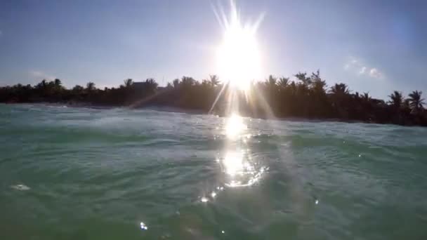 Frau schwimmt im karibischen Ozeanwasser — Stockvideo