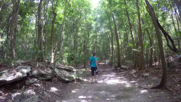 Mulher caminhando pela floresta da selva em uma trilha — Vídeo de Stock