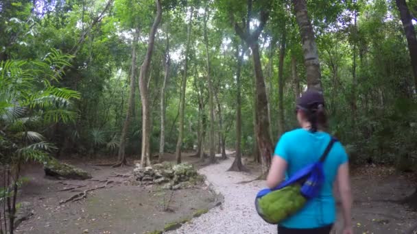 Woman walking through jungle forest on a trail — Stock Video