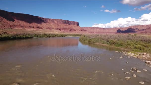 Colorado river-sivatagban — Stock videók