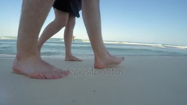 美しい熱帯のビーチを歩くカップル — ストック動画