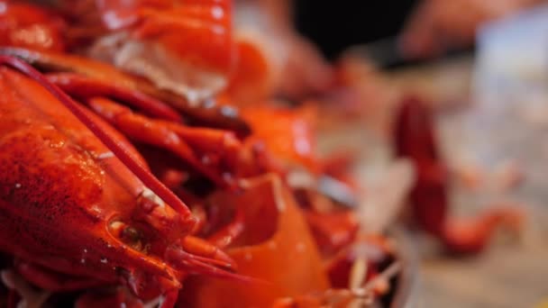 家庭准备新鲜的龙虾为他们的晚餐在家 — 图库视频影像