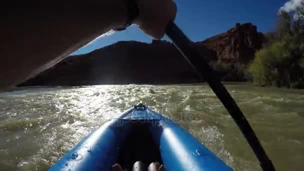 Father Boys Kayaks Colorado River Moab Utah Desert — Stock Video