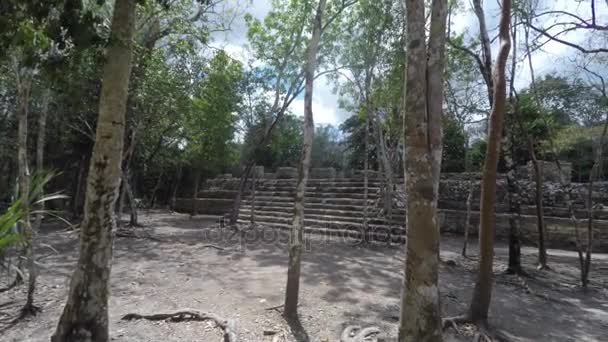 惊人的玛雅废墟在 Coba 附近的坎昆 墨西哥平移拍摄 — 图库视频影像