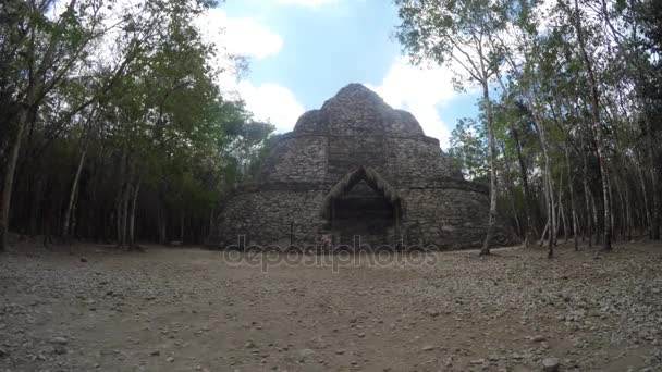 Niesamowite Ruiny Majów Coba Pobliżu Tulum Meksyk — Wideo stockowe
