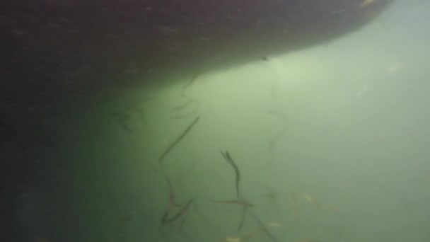 Eine Unterwasseraufnahme Eines Großen Fischerbootes Wasser — Stockvideo