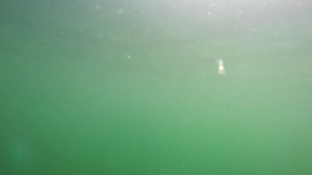 Podwodne Zdjęcia Powierzchni Oceanu — Wideo stockowe