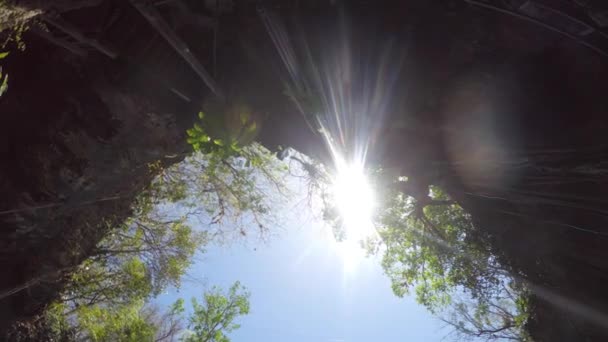 Mooie Diepe Cenote Balaam Maya Ruïne — Stockvideo