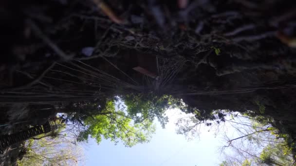 Hermoso Cenote Profundo Balaam — Vídeo de stock