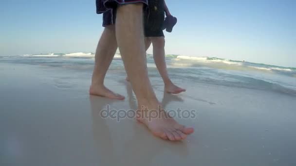 Casal Caminhando Bela Praia Tropical — Vídeo de Stock