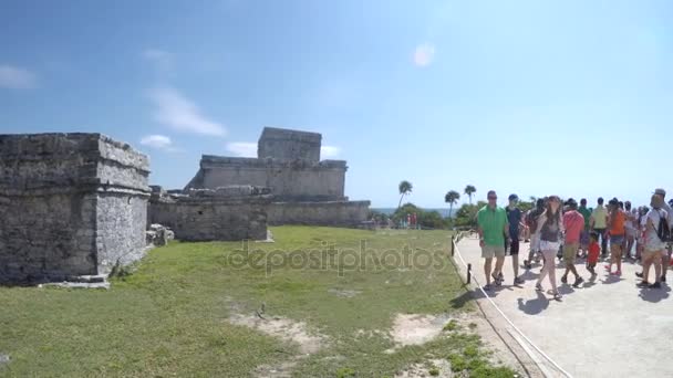 Editorial Shot Beach Side Mayan Ruins Tulum México — Vídeos de Stock