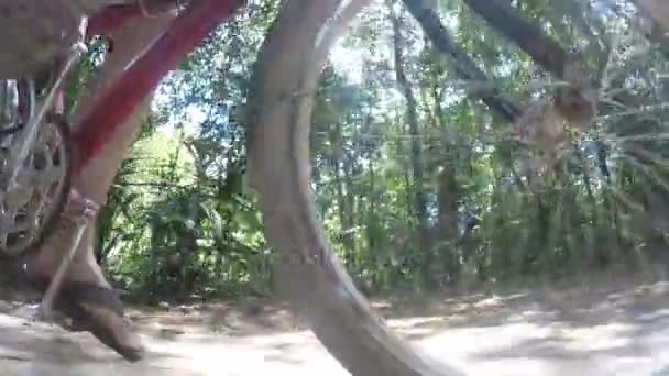 Baixo Tiro Homem Andando Bicicleta Caminho Sujeira Selva Mexicana — Vídeo de Stock