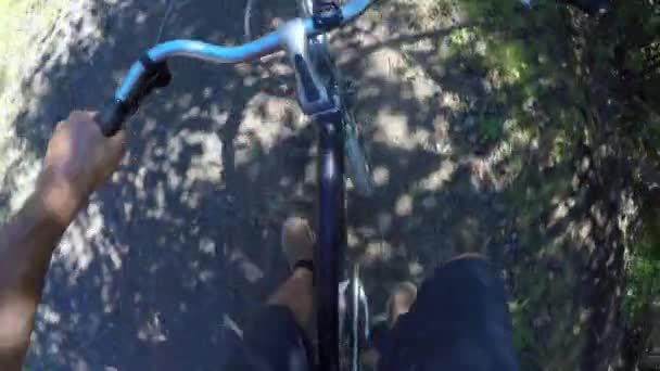 Hombre Montar Bicicleta Través Hermoso Bosque Verde — Vídeo de stock