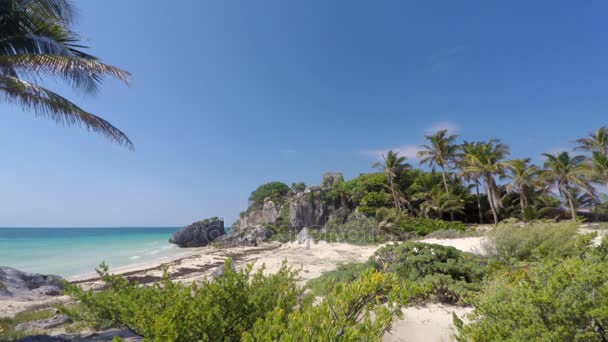 Rovine Maya Tulum Sulla Costa Vicino Cancún Nella Giungla — Video Stock