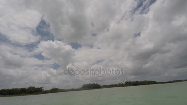 Barca Motore Che Attraversa Una Foresta Mangrovie Nell Oceano Tropicale — Video Stock