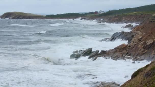 Ondas Oceânicas Numa Costa Rochosa Cape Breton Com Casas Campo — Vídeo de Stock