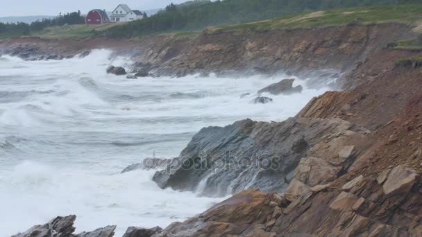 Havets Vågor Stenig Strand Med Stugor Cape Breton — Stockvideo