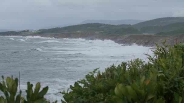 Zwolnionym Tempie Oceanu Fal Lądowania Skałach Cape Breton — Wideo stockowe