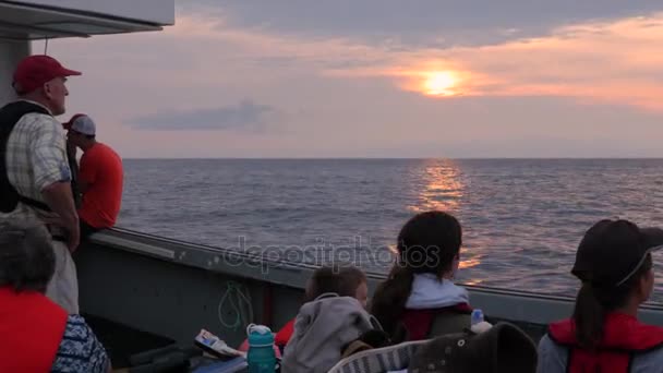 Wisatawan Berlayar Dengan Perahu Nelayan Komersial Cape Breton — Stok Video