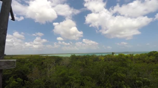 Tourists Wooden Tower Mangrove Forest Jungle — Stock Video