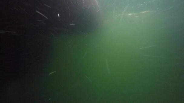 Podvodní Záběr Velkého Oceánu Rybářského Člunu Vodě — Stock video