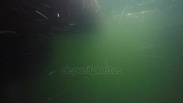 Podwodne Strzał Ocean Dużych Łodzi Rybackiej Wodzie — Wideo stockowe