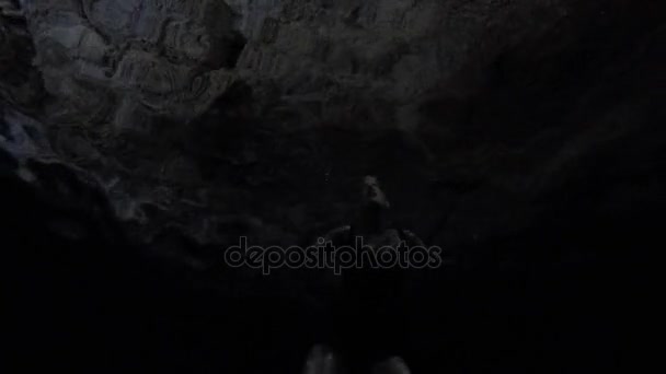 Colpo Subacqueo Bella Donna Che Nuota Nel Cenote Scuro — Video Stock